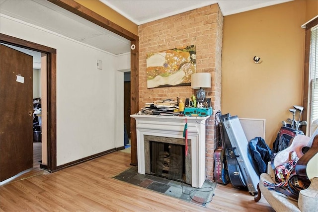 262 Pearl St, Rochester, NY 14607 - living room featuring wood finished floors and a large fireplace