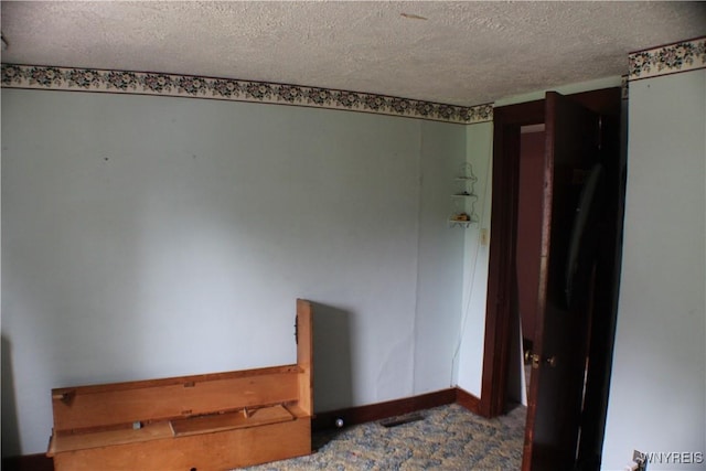 116 Merden St, Salamanca-City, NY 14779 - bedroom featuring a textured ceiling, carpet floors, and baseboards