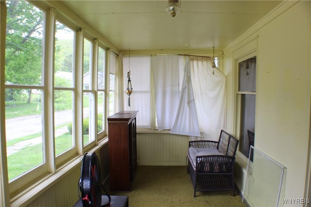 116 Merden St, Salamanca-City, NY 14779 - sunroom / solarium with healthy amount of natural light