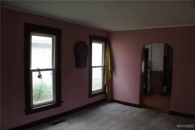 116 Merden St, Salamanca-City, NY 14779 - unfurnished room featuring arched walkways, crown molding, light colored carpet, and baseboards