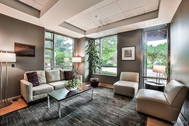 132 Lakefront Blvd Unit 204, Buffalo, NY 14202 - living room featuring baseboards, a paneled ceiling, and a tray ceiling
