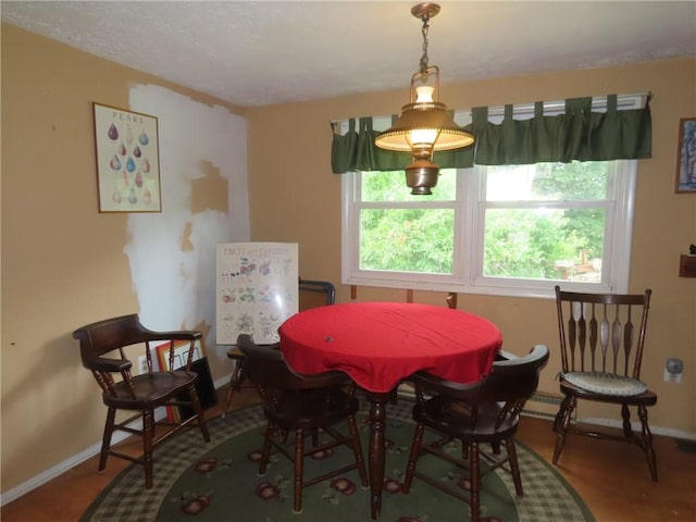 5015 S Centenary Rd, Sodus, NY 14505 - dining area featuring plenty of natural light and baseboards