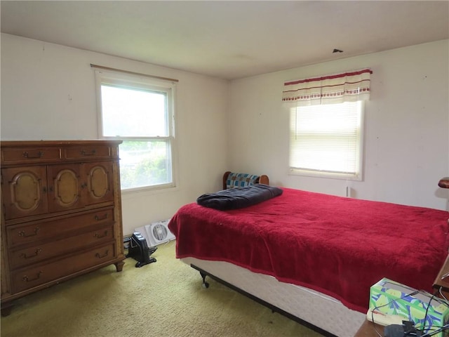 5015 S Centenary Rd, Sodus, NY 14505 - bedroom with carpet flooring