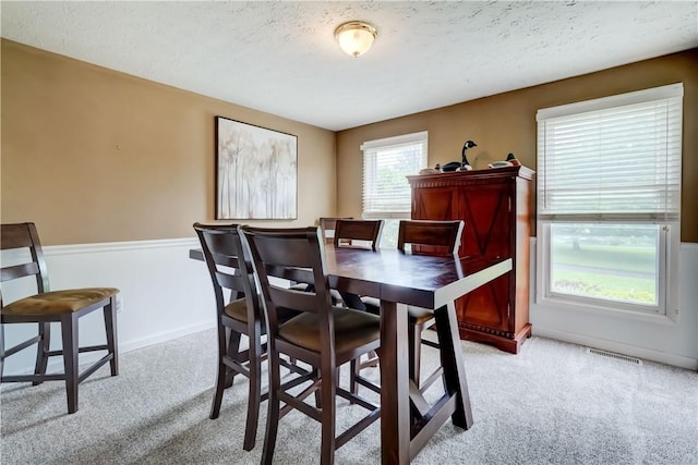 16 Canterbury Trl, Penfield, NY 14450 - dining space featuring carpet, a textured ceiling, and wainscoting