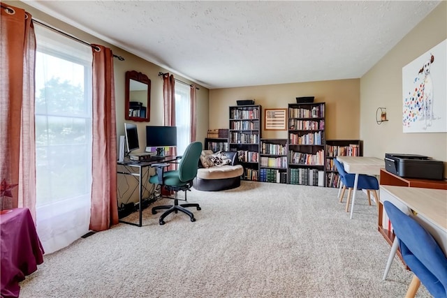 16 Canterbury Trl, Penfield, NY 14450 - office space featuring carpet flooring and a textured ceiling