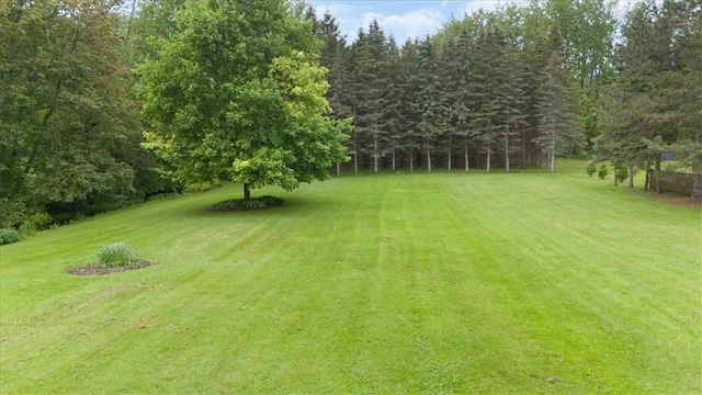 3343 Cory Hill Rd, Marion, NY 14505 - view of grassy yard