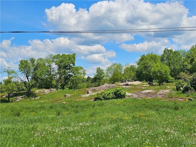 10646 Jackson Ln, Croghan, NY 13619 - photo 14