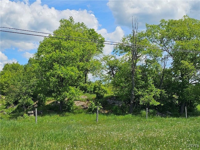 10646 Jackson Ln, Croghan, NY 13619 - photo 15