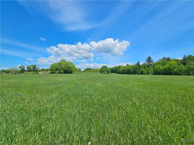 10646 Jackson Ln, Croghan, NY 13619 - photo 18