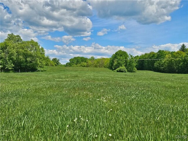 10646 Jackson Ln, Croghan, NY 13619 - photo 19
