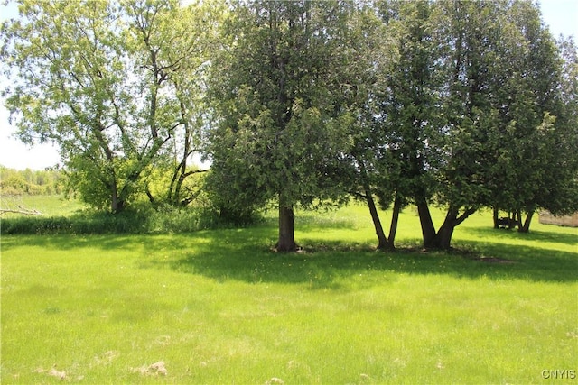 8766 N Main St, Le Ray, NY 13637 - view of yard