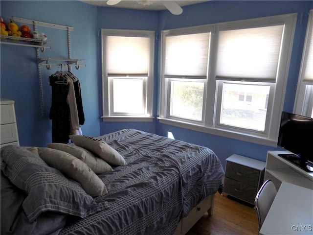806 Mildred Ave, Utica, NY 13502 - bedroom with a closet and wood finished floors