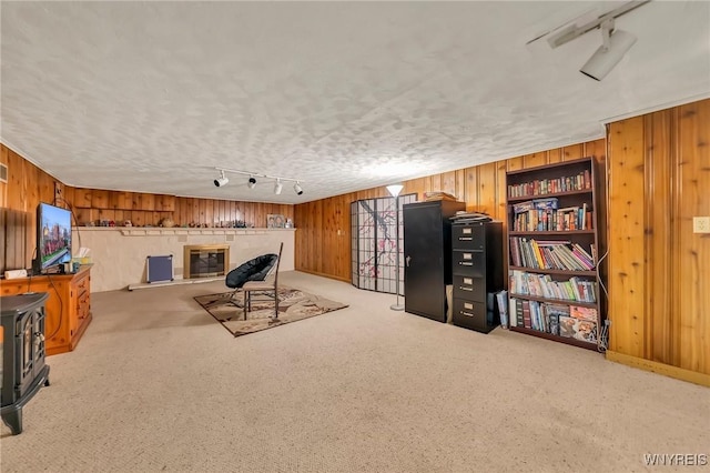 8918 Hurlburt Ln, Clarence, NY 14031 - sitting room with rail lighting, wood walls, and carpet flooring