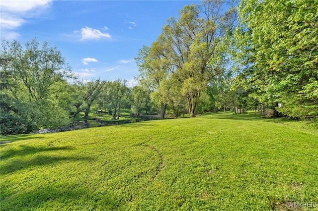 8918 Hurlburt Ln, Clarence, NY 14031 - view of grassy yard