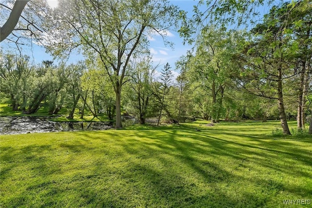 8918 Hurlburt Ln, Clarence, NY 14031 - view of green lawn featuring a water view