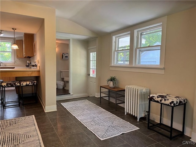 22 Hamilton St, Hamilton, NY 13346 - foyer with radiator heating unit, vaulted ceiling, and baseboards