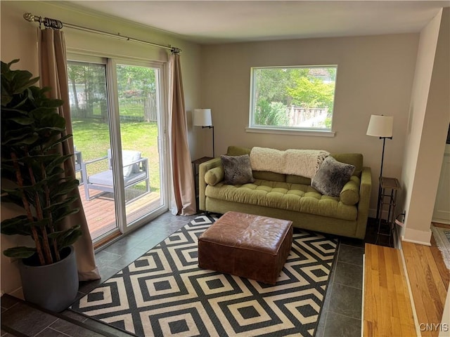 22 Hamilton St, Hamilton, NY 13346 - view of living room