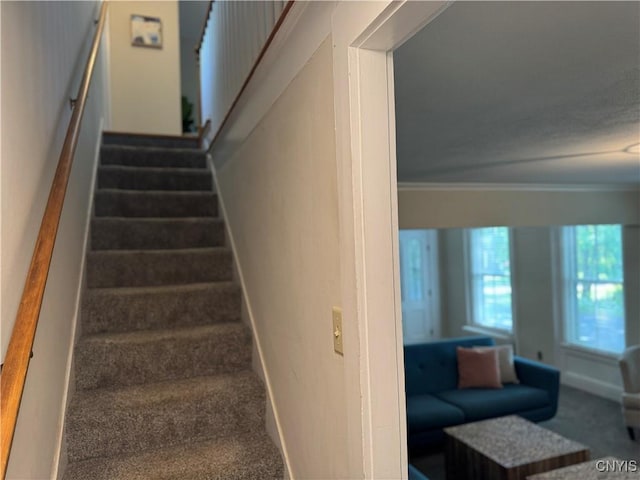22 Hamilton St, Hamilton, NY 13346 - staircase with carpet, ornamental molding, and baseboards