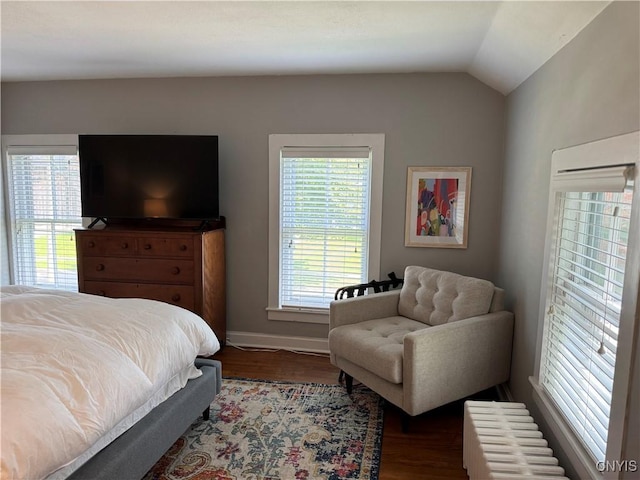 22 Hamilton St, Hamilton, NY 13346 - bedroom featuring radiator, wood finished floors, vaulted ceiling, and baseboards