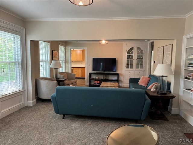 22 Hamilton St, Hamilton, NY 13346 - carpeted living area with ornamental molding and baseboards