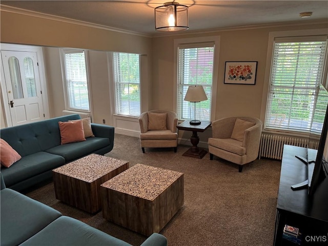 22 Hamilton St, Hamilton, NY 13346 - carpeted living room featuring radiator heating unit, ornamental molding, healthy amount of natural light, and baseboards