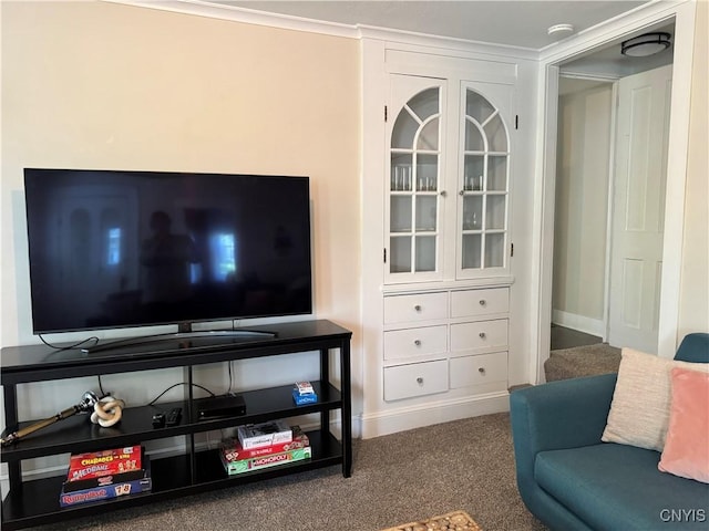 22 Hamilton St, Hamilton, NY 13346 - living area featuring carpet flooring and baseboards