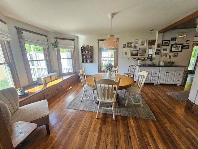 6207 Knickerbocker Rd, Ontario, NY 14519 - dining room with dark wood-style floors