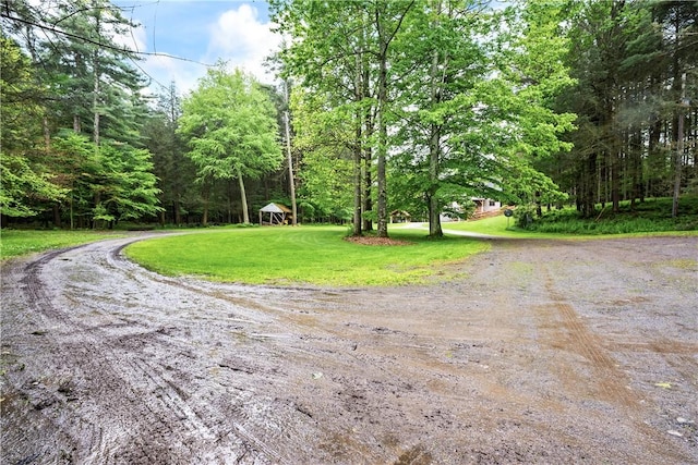 7223 Clement Rd, Naples, NY 14512 - photo 13
