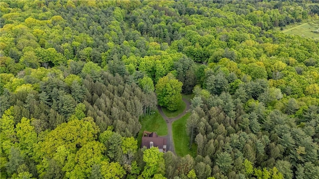 7223 Clement Rd, Naples, NY 14512 - photo 21