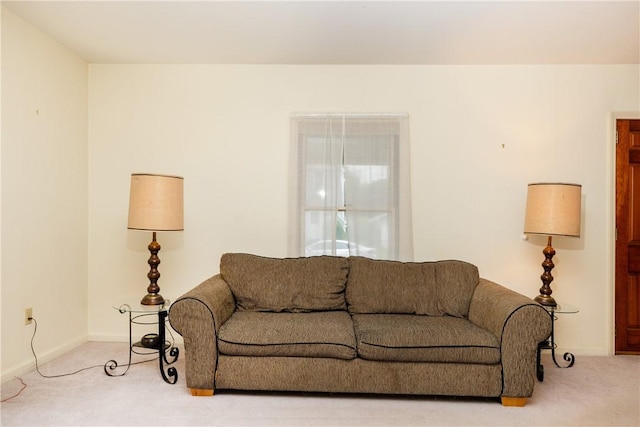 376 Imperial Ave, Erwin, NY 14870 - living room featuring light carpet and baseboards