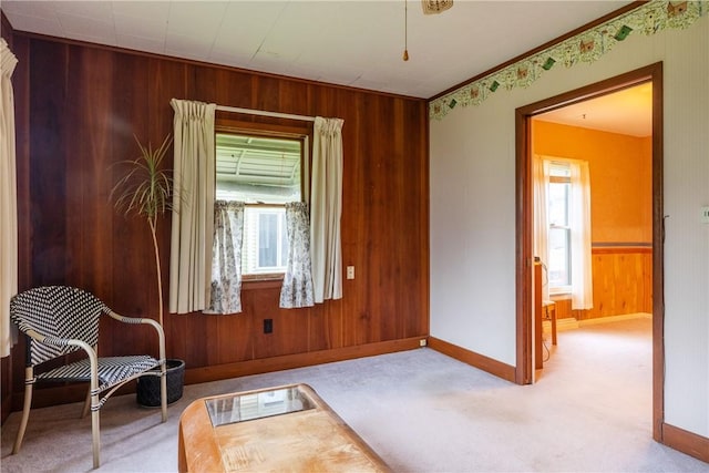 376 Imperial Ave, Erwin, NY 14870 - living area with healthy amount of natural light, wood walls, baseboards, and carpet flooring