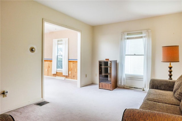 376 Imperial Ave, Erwin, NY 14870 - carpeted living area with healthy amount of natural light
