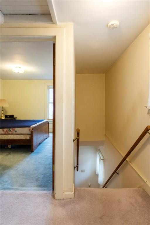 376 Imperial Ave, Erwin, NY 14870 - stairs with carpet floors