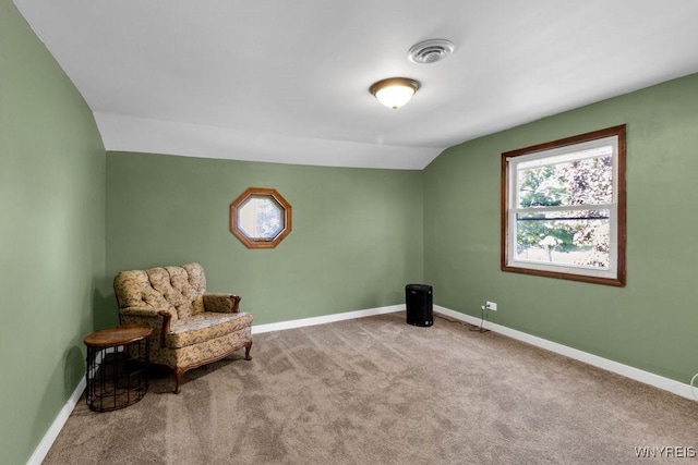 10652 Elm St, North Collins, NY 14111 - sitting room with carpet, baseboards, and lofted ceiling