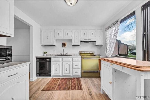 8 Robin Rd, Amherst, NY 14228 - kitchen featuring electric range, dishwasher, under cabinet range hood, a sink, and light wood-style flooring