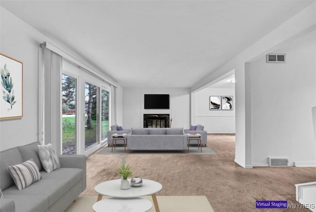 8 Robin Rd, Amherst, NY 14228 - carpeted living room with a glass covered fireplace