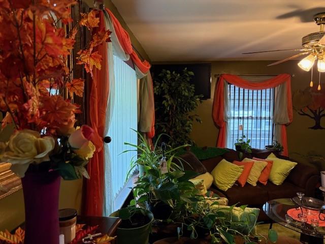 106 Rexford St, Rochester, NY 14621 - living room with ceiling fan and plenty of natural light