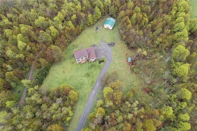 2779 Maricle Rd, Freetown, NY 13040 - aerial overview of property's location