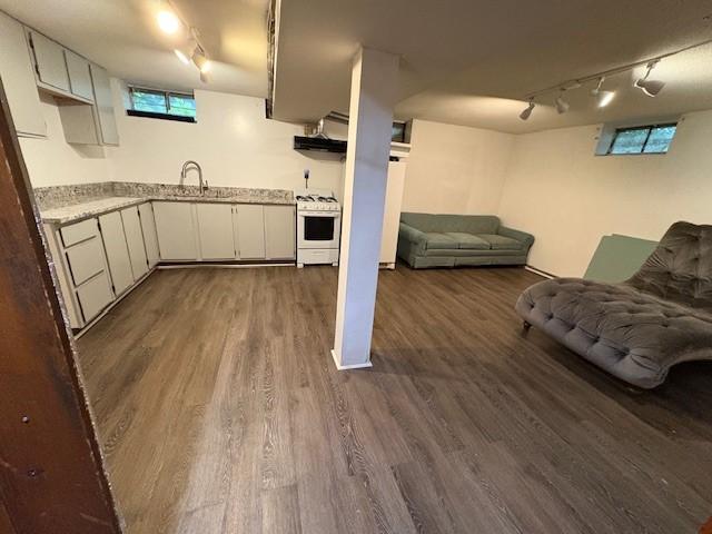 245 Weaver St, Rochester, NY 14621 - basement with track lighting, dark wood-style flooring, a sink, and plenty of natural light