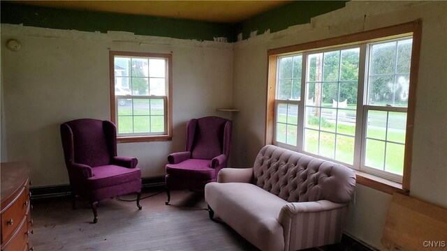 1043 State Highway 26, Pitcher, NY 13124 - sitting room with plenty of natural light and wood finished floors