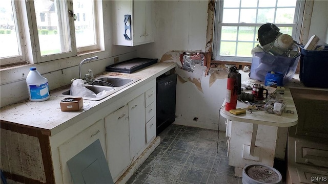 1043 State Highway 26, Pitcher, NY 13124 - kitchen featuring dishwasher, plenty of natural light, and light countertops