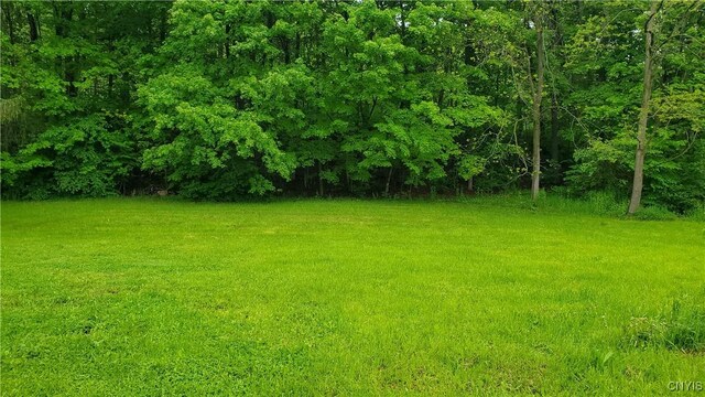 1043 State Highway 26, Pitcher, NY 13124 - view of green lawn