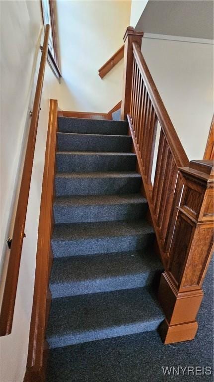 341 Dartmouth Ave, Buffalo, NY 14215 - view of stairway