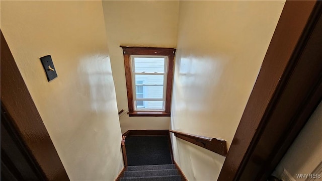 341 Dartmouth Ave, Buffalo, NY 14215 - staircase with carpet and baseboards