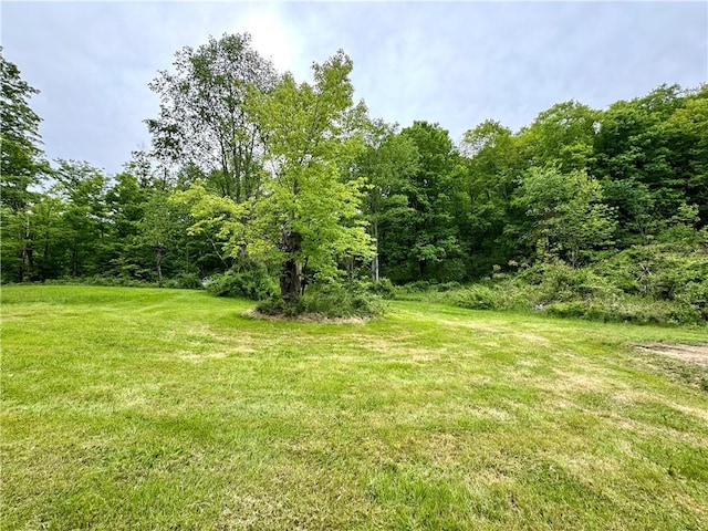 4431 Dyke Rd, Hornby, NY 14830 - photo 20