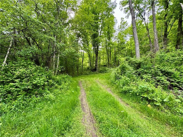 4431 Dyke Rd, Hornby, NY 14830 - photo 23