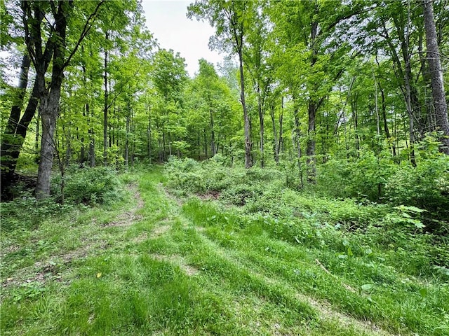 4431 Dyke Rd, Hornby, NY 14830 - photo 24
