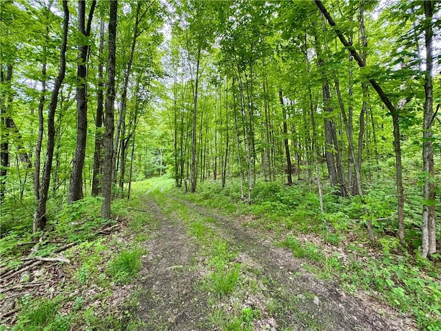 4431 Dyke Rd, Hornby, NY 14830 - photo 25