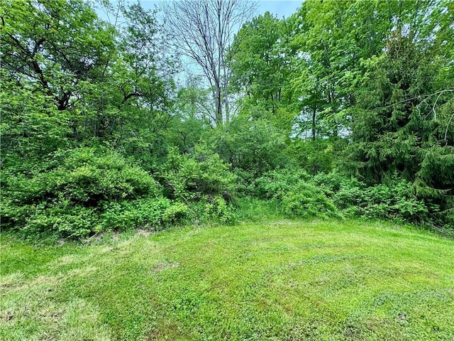 4431 Dyke Rd, Hornby, NY 14830 - photo 26