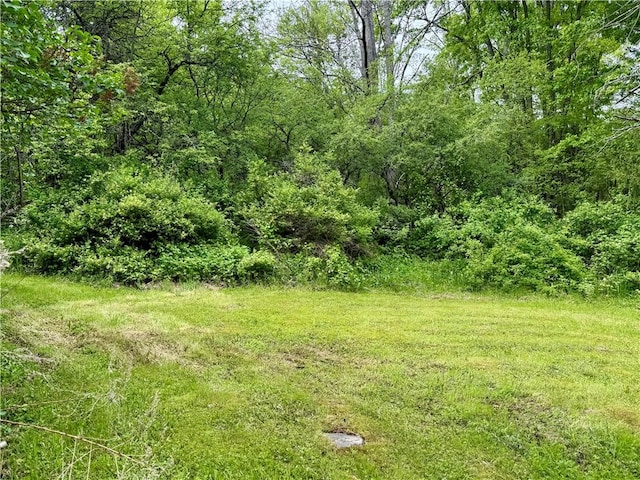 4431 Dyke Rd, Hornby, NY 14830 - photo 2